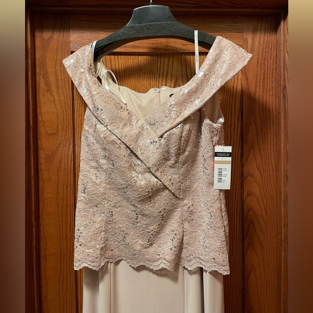 Cachet Blush Beaded Special Occassion Gown Floorlength Off the Shoulder - Picture 3 of 6